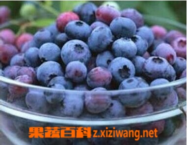蓝莓汁怎么做 蓝莓汁的做法步骤