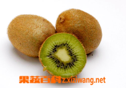 奇异果的营养价值和功效作用