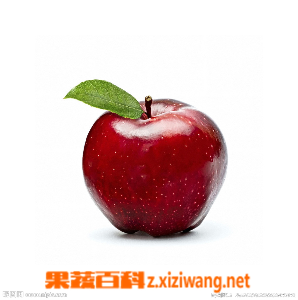 每天吃苹果的十个好处