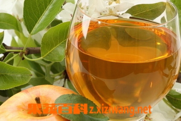 自制苹果酒的简易方法