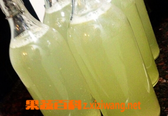 喝蘋果酵素有什么好處