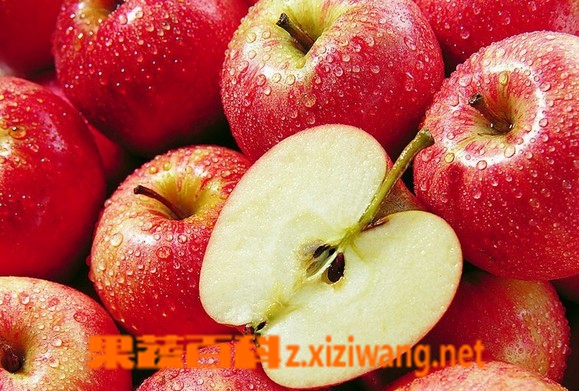 每天吃苹果有什么好处 每天吃苹果的好处有哪些