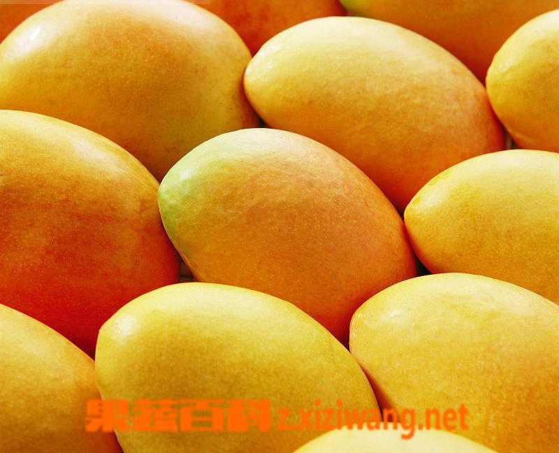 芒果营养价值和食用效果
