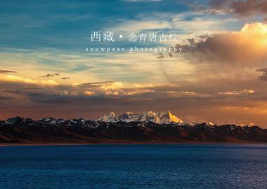 到西藏旅游，你有什么問題想咨詢？