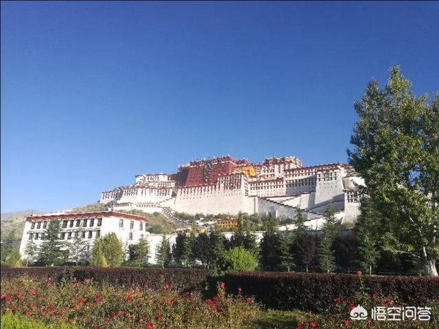 大家去西藏游拉萨。布达拉宫和大昭寺是自己游还是跟团啊？