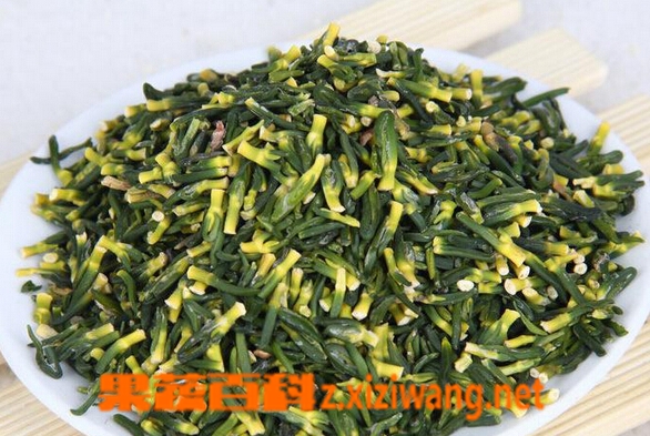 莲子心的功效与作用及食用方法 莲子心的营养价值