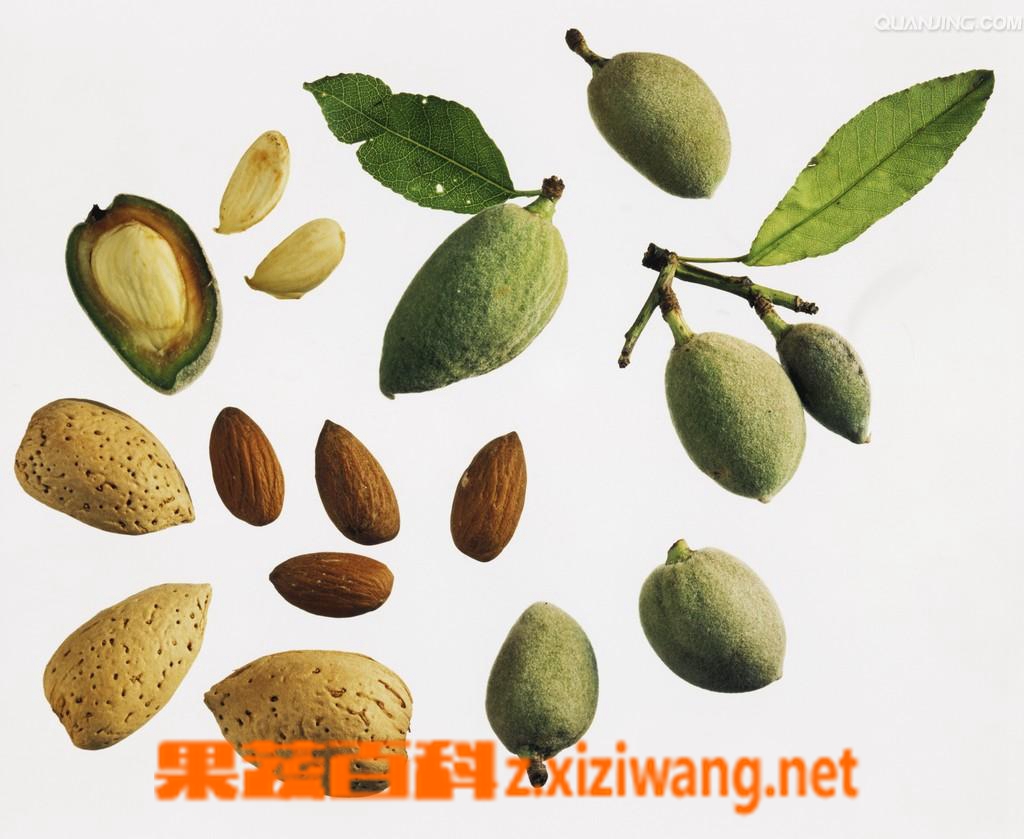 杏仁的营养价值和作用