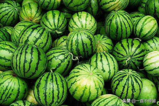西瓜的营养成分有哪些?