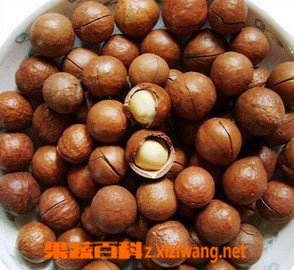 夏威夷果的功效与作用有哪些?