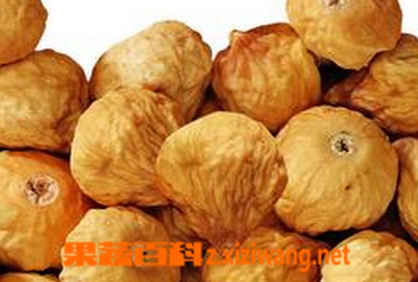 干无花果的药用价值