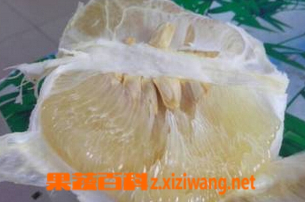 白柚子的功效与作用
