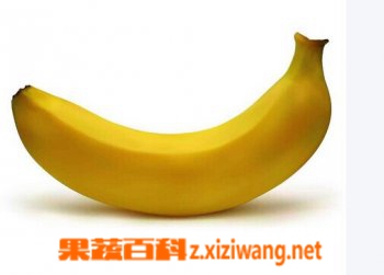 吃香蕉有什么好處 吃香蕉好處介紹