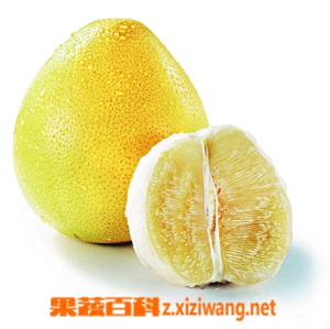吃柚子有什么好處 吃柚子的好處介紹