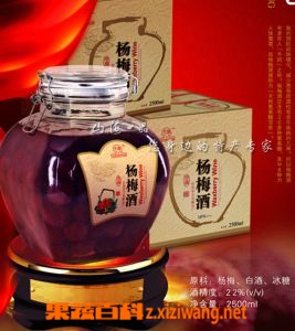 杨梅酒可以抗癌吗