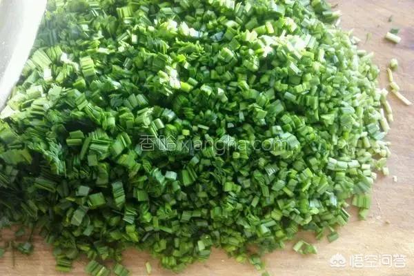包韭菜馅包子怎么做?