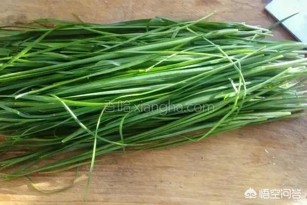 包韭菜馅包子怎么做?