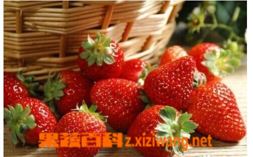 菠萝莓的营养价值和功效
