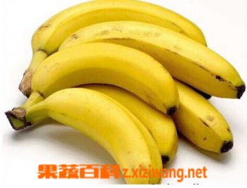 香蕉有催熟作用吗 香蕉能催熟哪些水果
