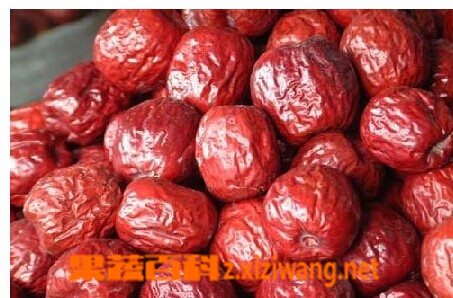 大枣的功效和作用