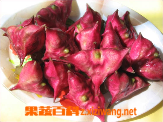 水红菱的功效与作用