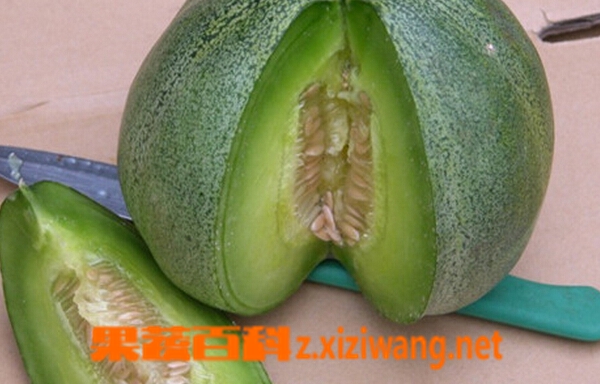 绿宝香瓜的营养价值