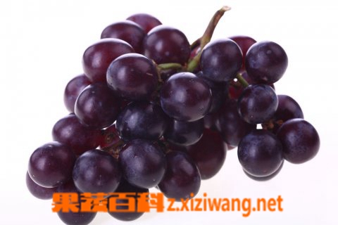 吃葡萄有什么好处 吃葡萄好处有哪些