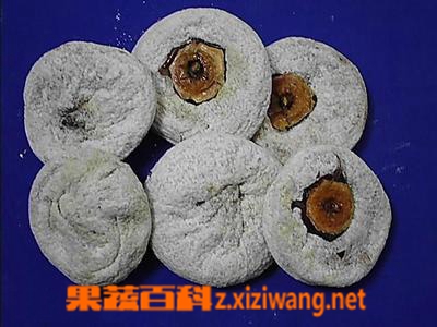柿饼的功效与作用 柿饼的副作用