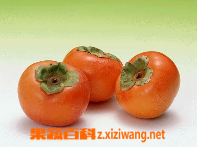 饭后吃柿子可以止咳