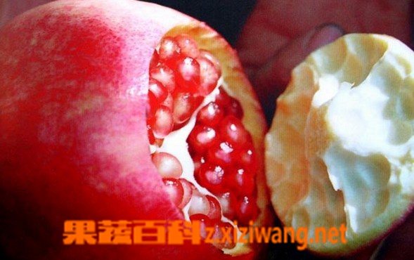 石榴怎么吃 石榴的吃法技巧