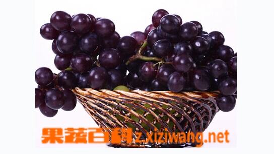 巨峰葡萄的功效與作用