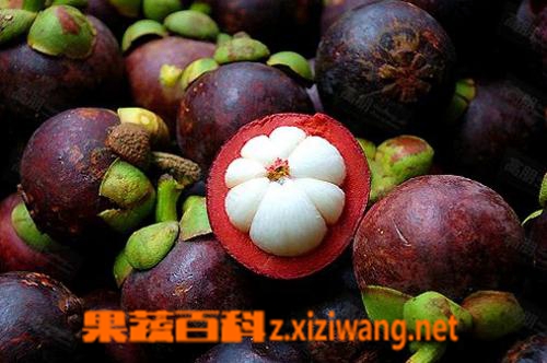 孕婦可以吃山竹嗎 山竹營養(yǎng)成分