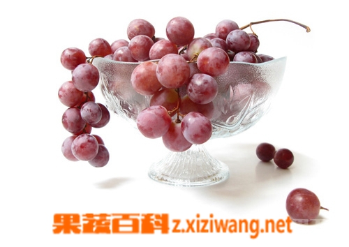 葡萄皮能吃嗎 葡萄皮的功效和作用