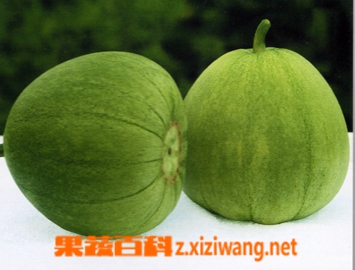 甜瓜营养价值和食疗作用
