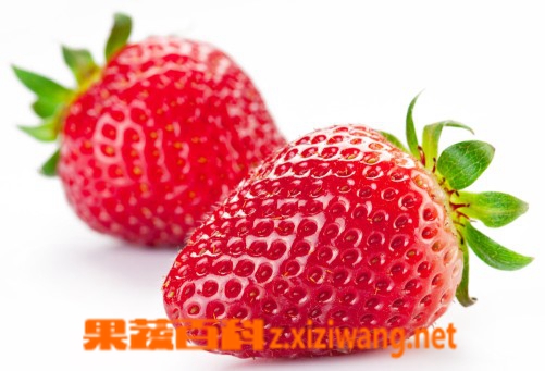 草莓的营养价值和草莓的食疗价值