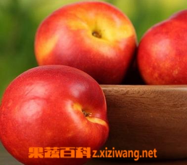 油桃的营养价值有哪些 吃油桃的功效和作用