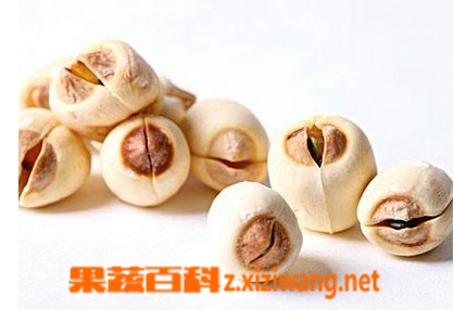 莲子的家庭食疗菜谱 莲子的做法