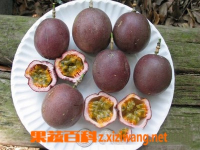 百香果的功效与作用 百香果的副作用