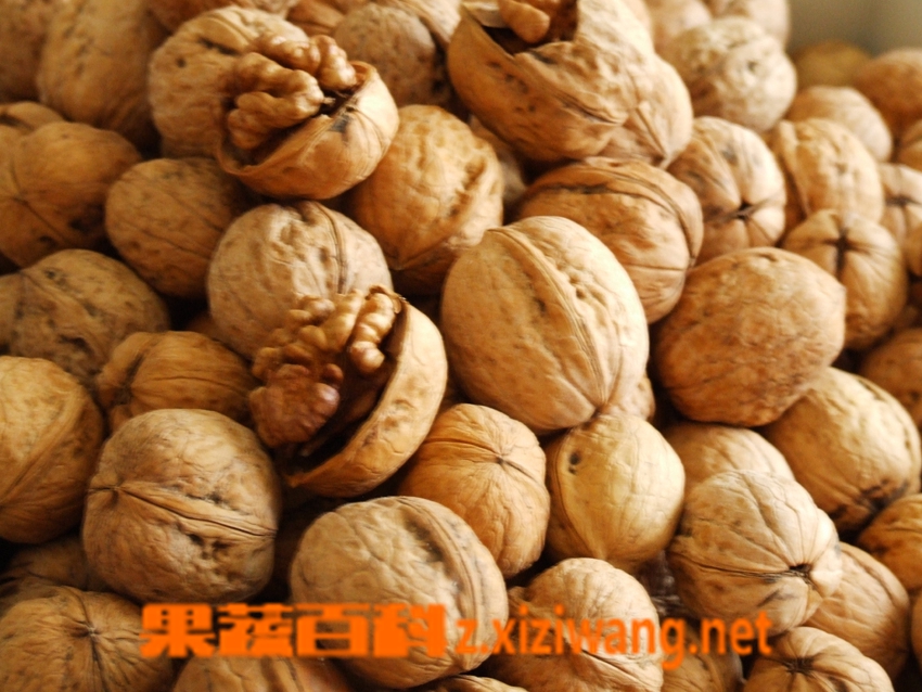 孕妇吃核桃有什么好处