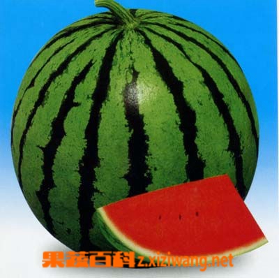 西瓜的宜忌人群,哪些人不能吃西瓜
