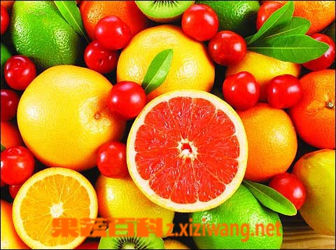 饭菜,水果,汤正确的进餐顺序,哪个先吃好