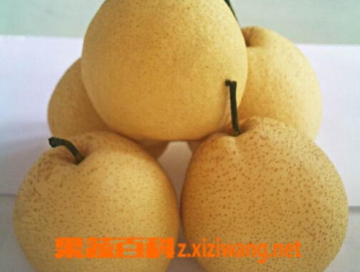 梨子皮能吃吗 梨子皮的营养价值