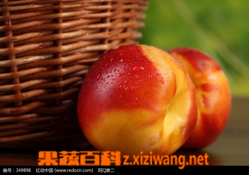 油桃的热量 油桃的吃法