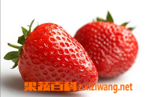 孕妇能吃草莓吗,孕妇梦见草莓是什么意思
