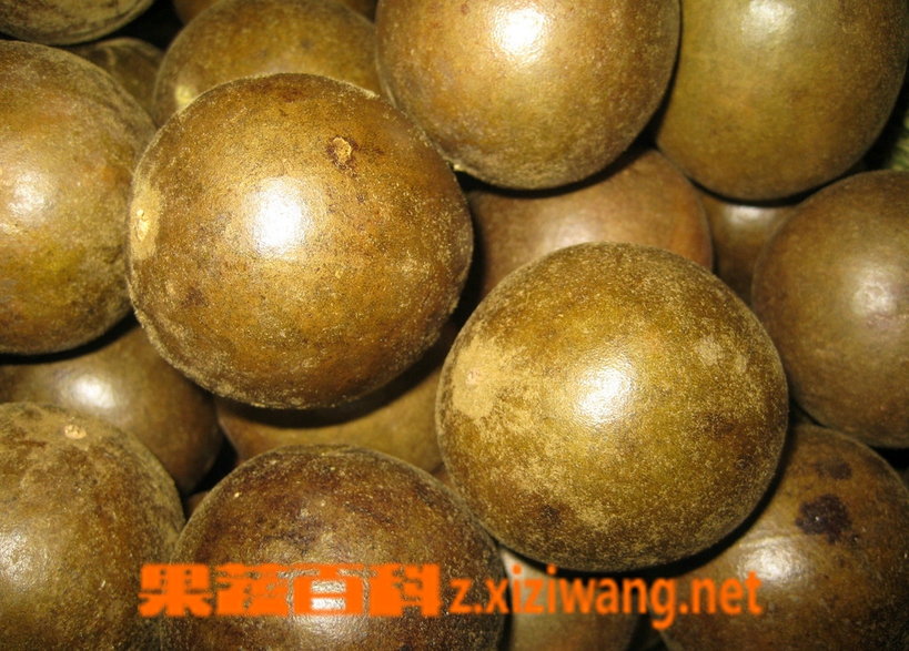 罗汉果龙眼水材料和做法