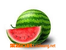 露天西瓜种植技术