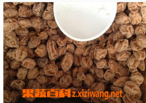 黄皮干的功效与作用 吃黄皮果有什么好处