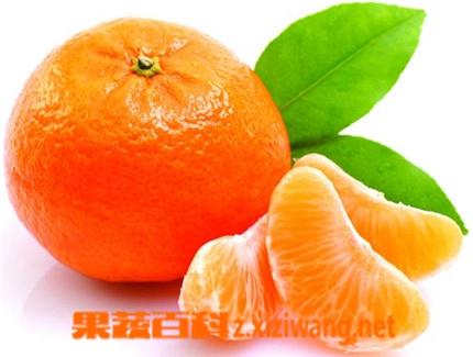 孕妇可以吃桔子吗