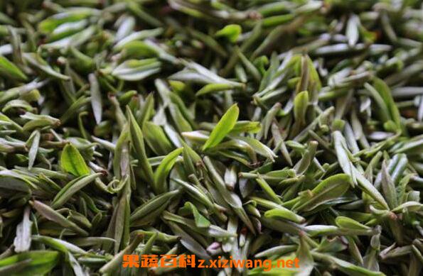 黄芽茶怎么泡 黄芽茶的正确泡法