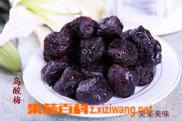乌酸梅的药用