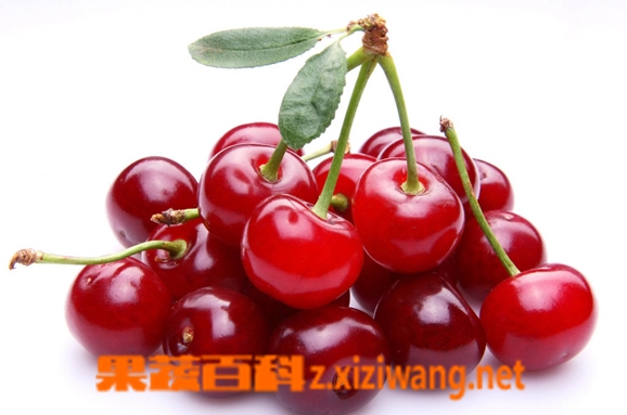 吃樱桃的好处 吃樱桃有哪些好处和功效